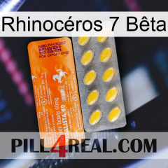 Rhinocéros 7 Bêta new05